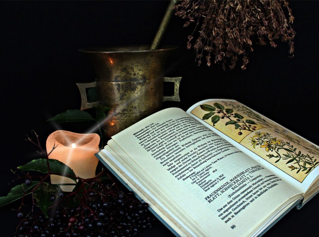 Medicinal herbs with mortar and pestle